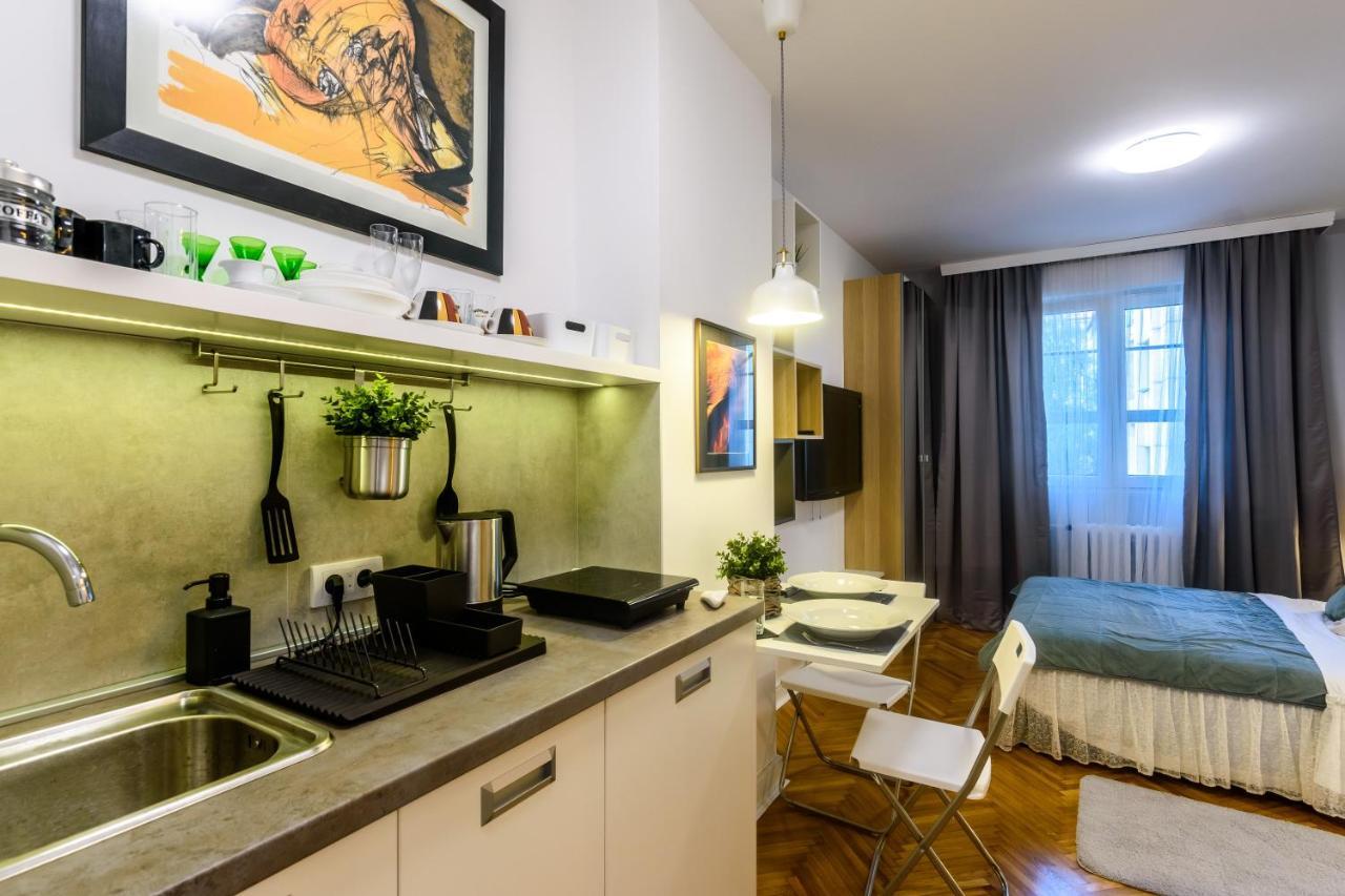 Vracar Apartment Belgrade Luaran gambar